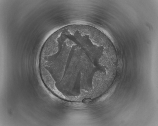 X0000111001007200907311027