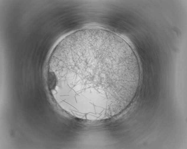 X0000111001008200907311027