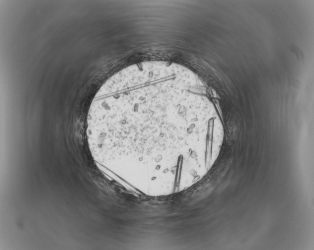 X0000111001010200907311026