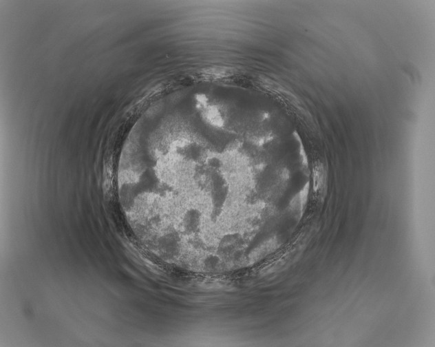 X0000111001011200907311026