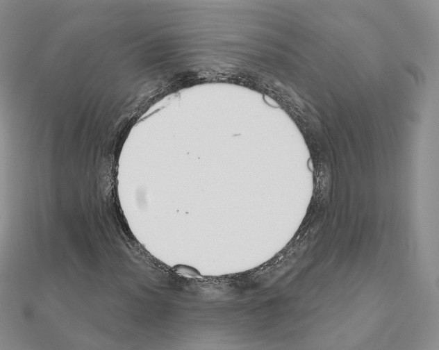 X0000111001012200907311026