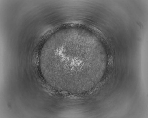 X0000111001014200907311026