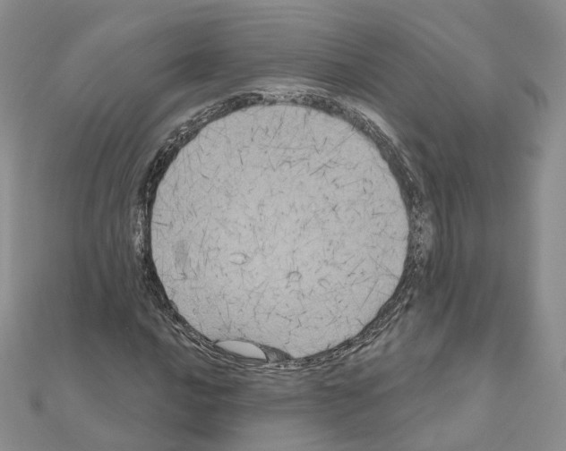 X0000111001016200907311026