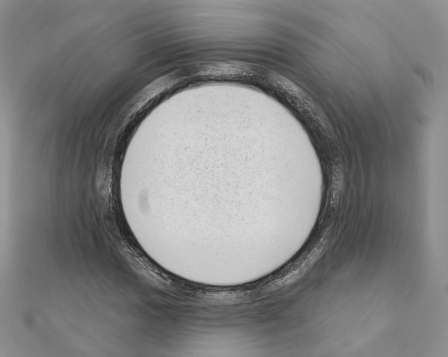 X0000111001017200907311026