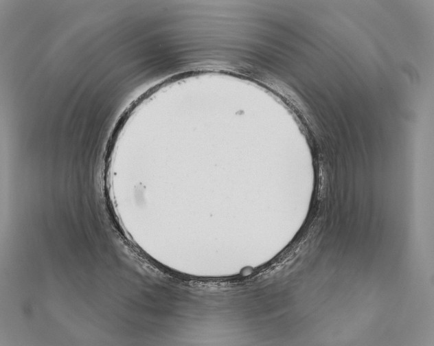 X0000111001020200907311026