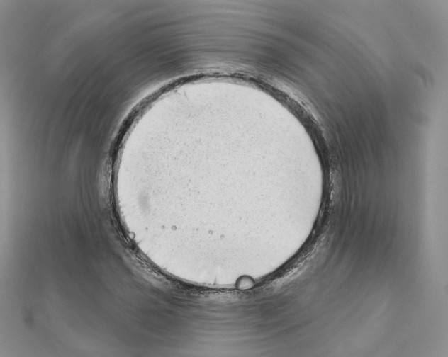 X0000111001021200907311026