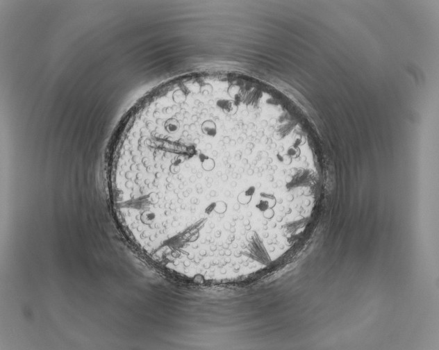 X0000111001022200907311026