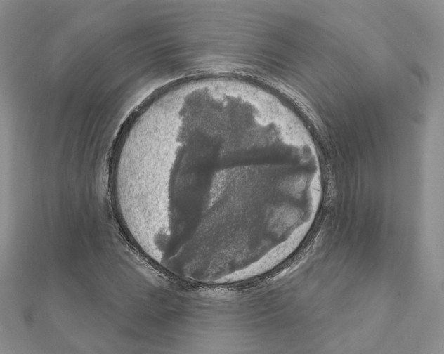 X0000111001023200907311026