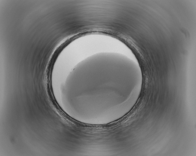 X0000111001024200907311026