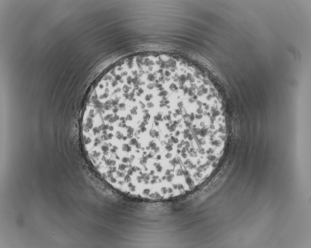 X0000111001025200907311026