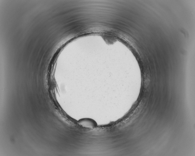 X0000111001026200907311026