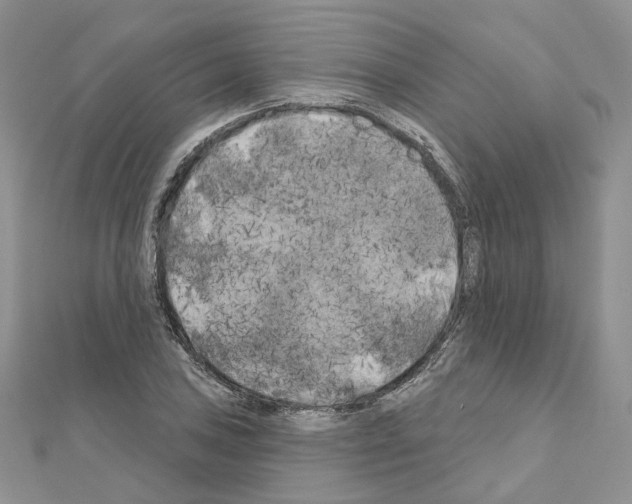 X0000111001027200907311026