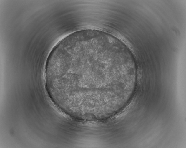 X0000111001028200907311026