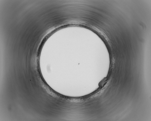 X0000111001029200907311026