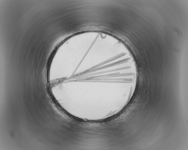 X0000111001030200907311027