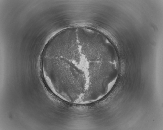 X0000111001031200907311027