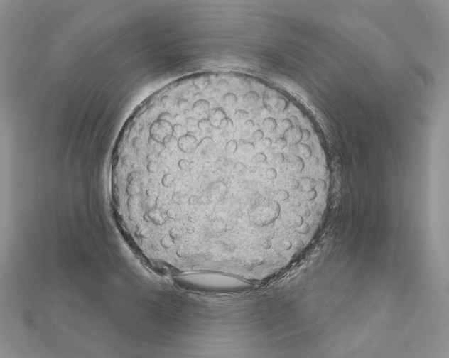 X0000111001032200907311027