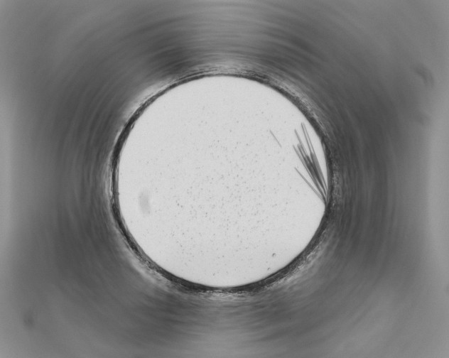 X0000111001034200907311027