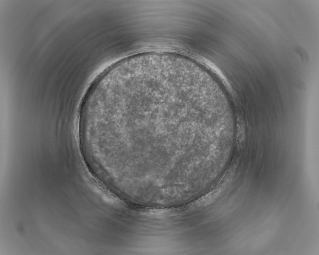 X0000111001035200907311027