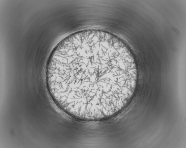 X0000111001038200907311027