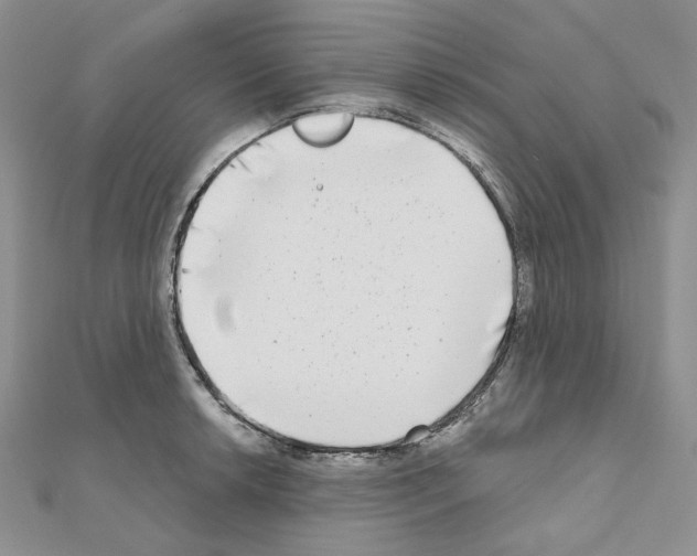 X0000111001042200907311027