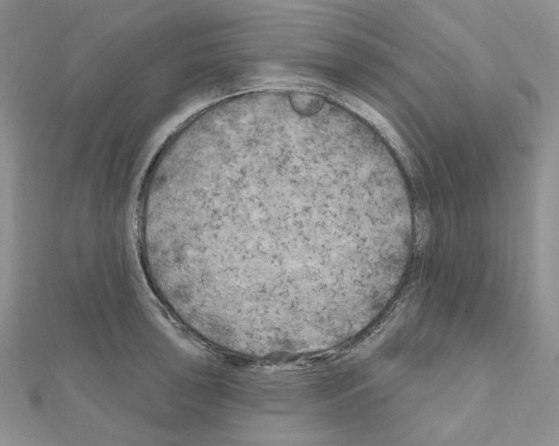 X0000111001043200907311027