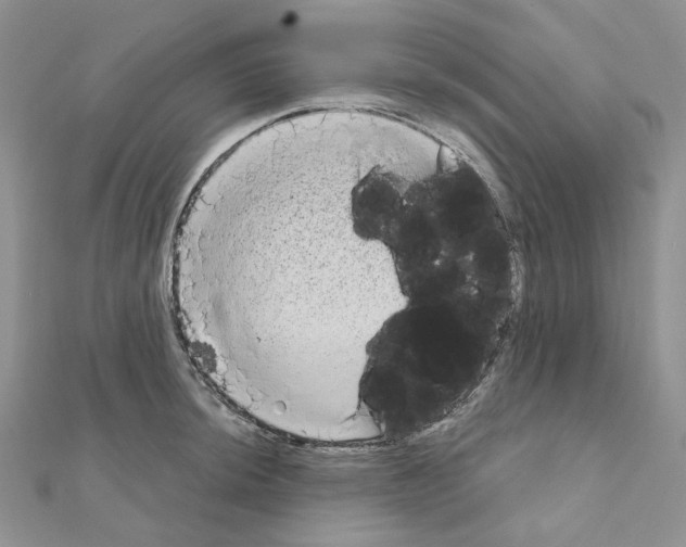 X0000111001044200907311027