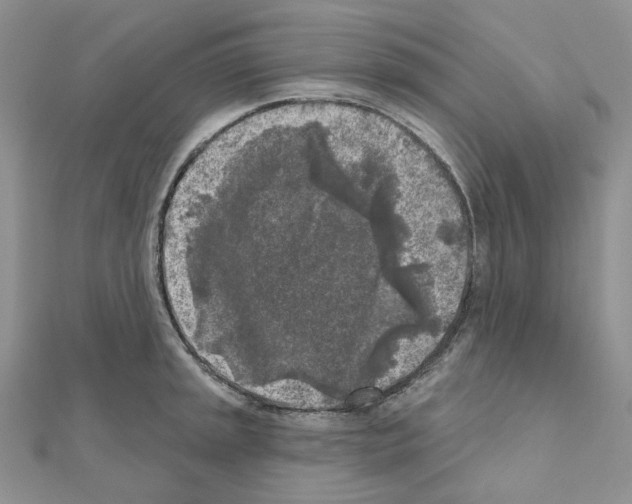 X0000111001045200907311027