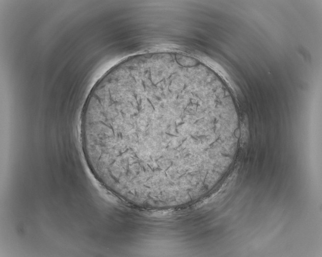 X0000111001047200907311027