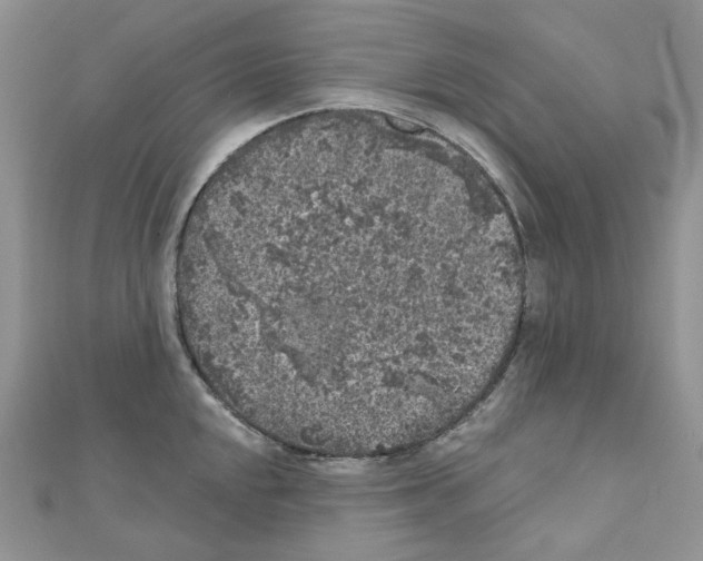 X0000111001048200907311027