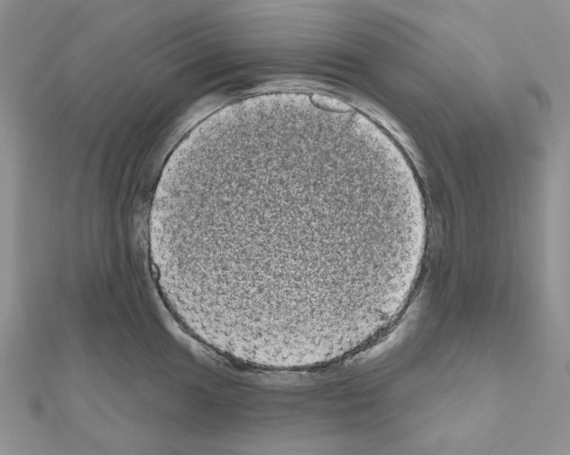 X0000111001049200907311027