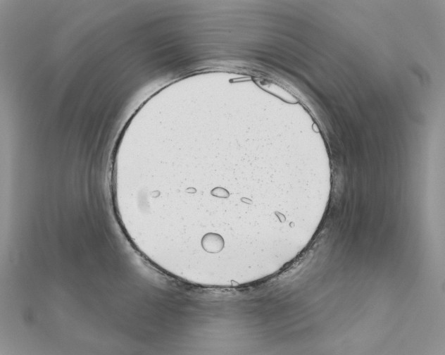 X0000111001050200907311027