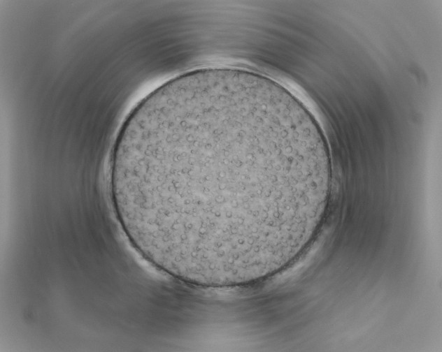 X0000111001053200907311027