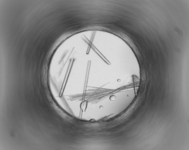 X0000111001054200907311027