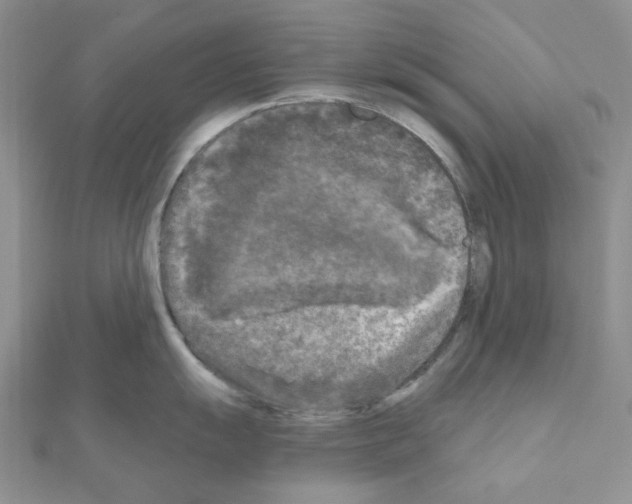 X0000111001055200907311027