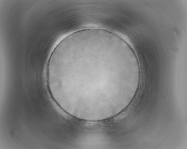 X0000111001056200907311027