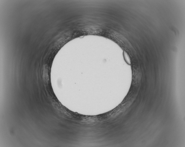 X0000111001058200907311026