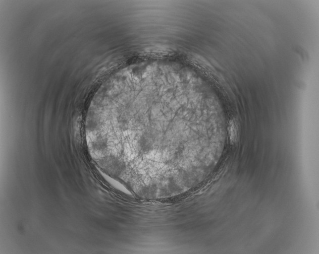 X0000111001059200907311026