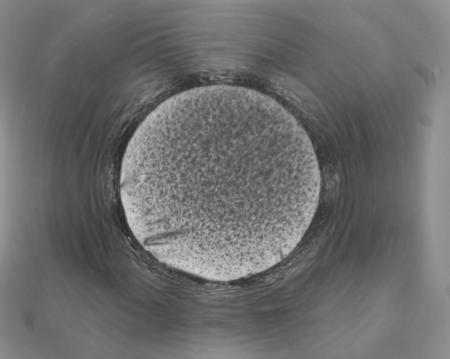 X0000111001060200907311026