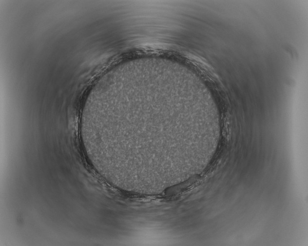 X0000111001061200907311026