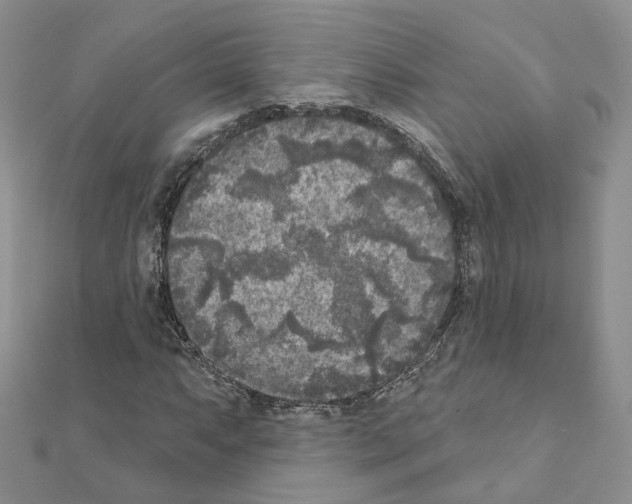 X0000111001063200907311026