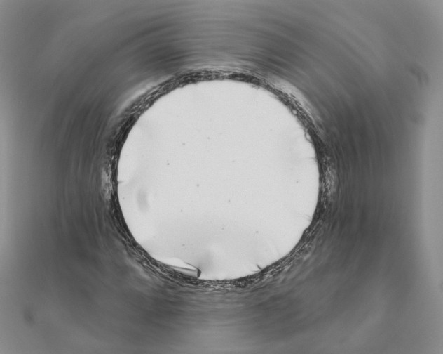 X0000111001064200907311026