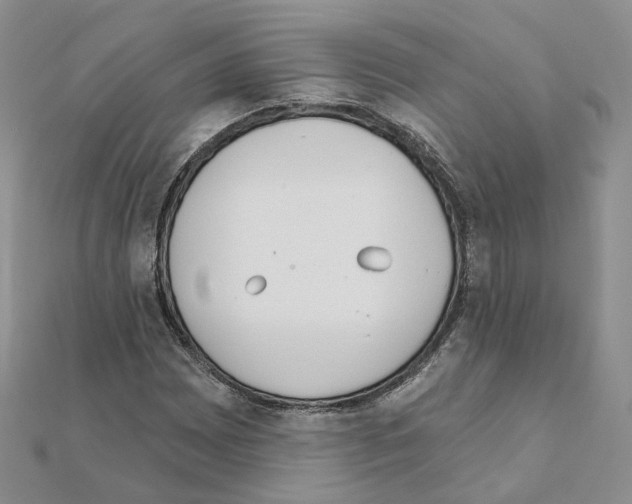 X0000111001065200907311026