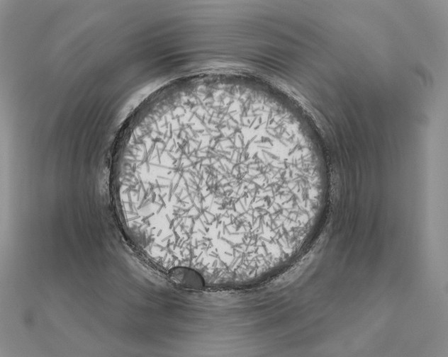 X0000111001066200907311026