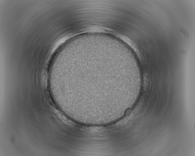 X0000111001067200907311026