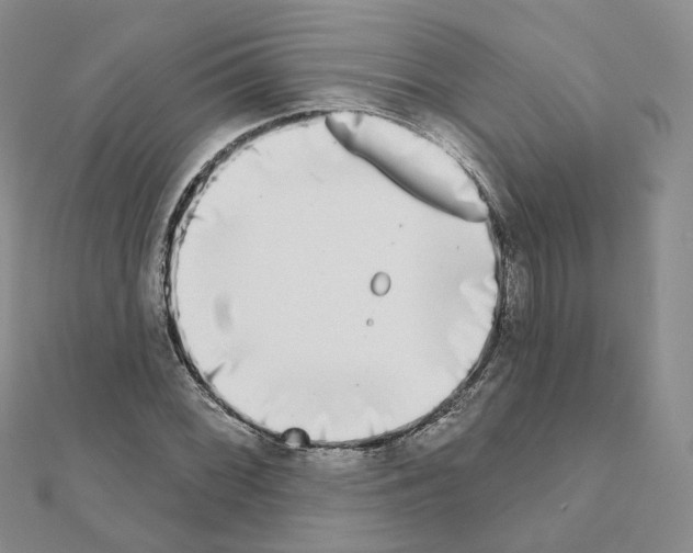 X0000111001068200907311026