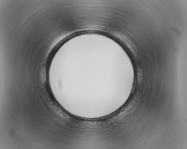 X0000111001069200907311026