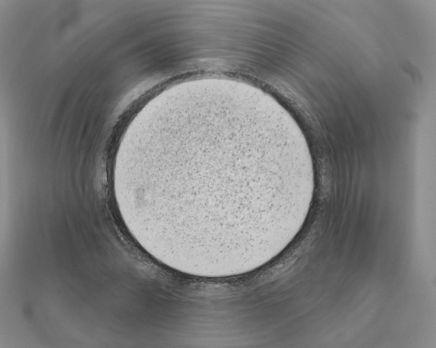 X0000111001070200907311026