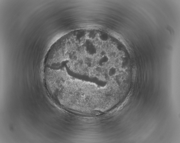 X0000111001071200907311026