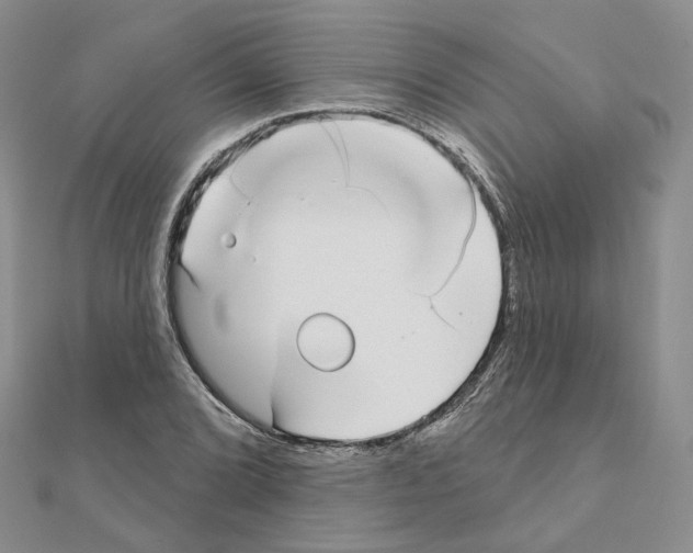 X0000111001072200907311026